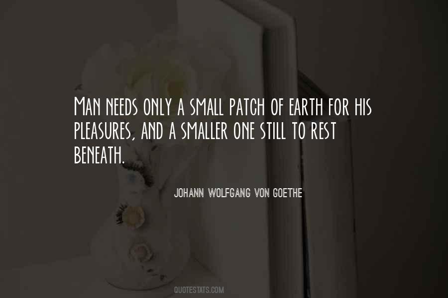 Quotes About Small Pleasures #994810