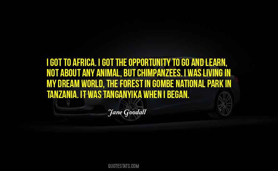 Quotes About Tanzania #289955