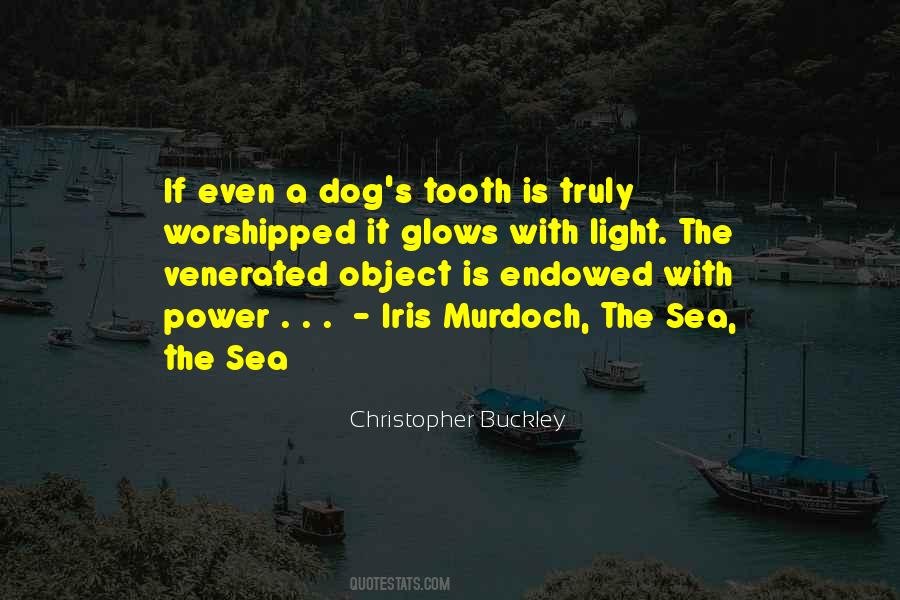 Quotes About Being Worshipped #45387