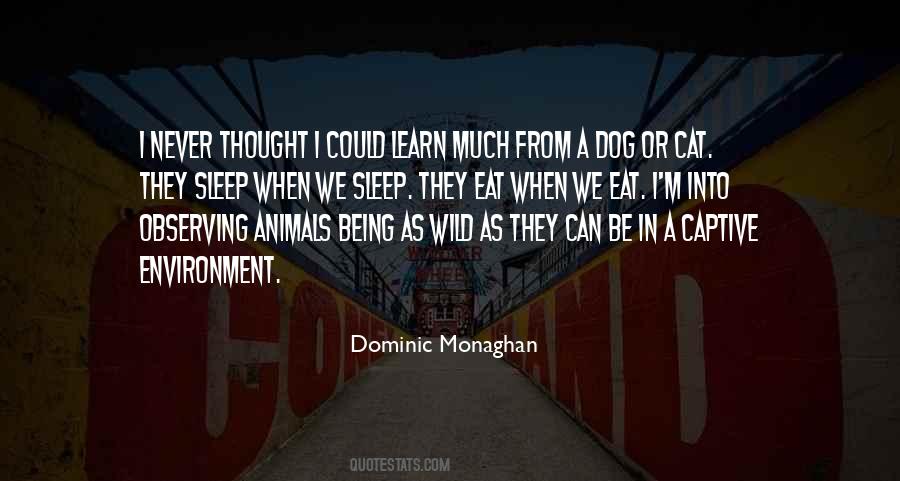 Quotes About Captive Animals #1657670