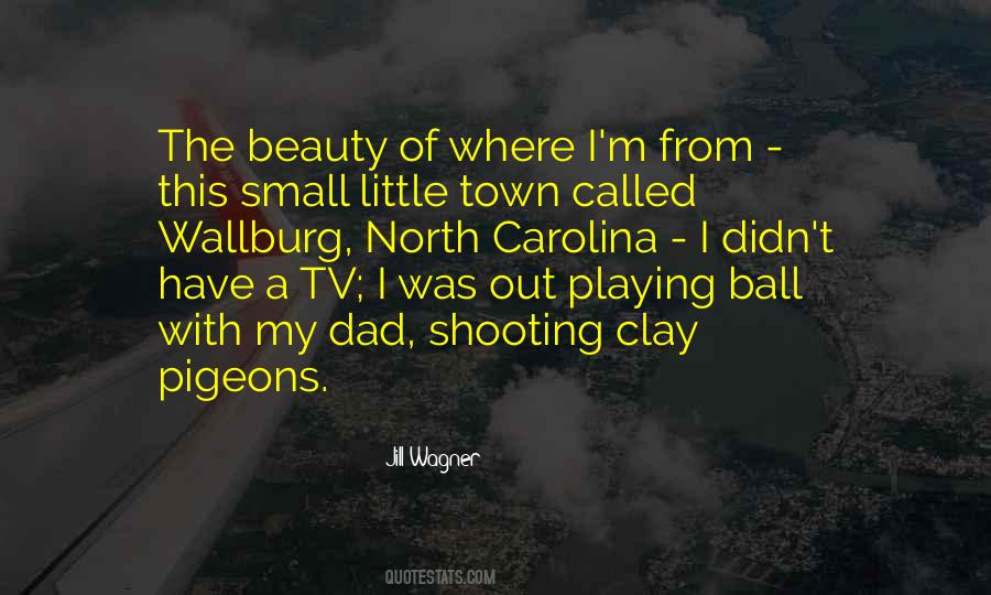 Quotes About A Small Town #54932