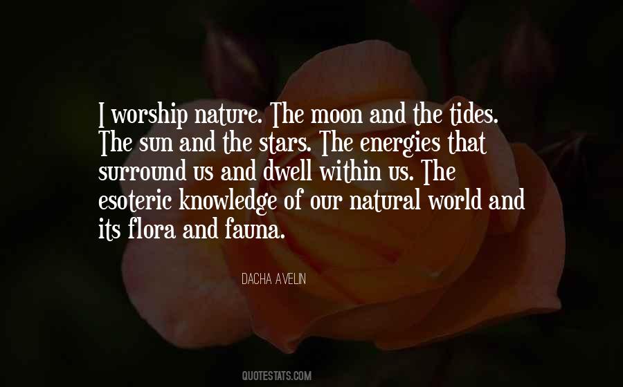 Quotes About Moon And Sun #117405