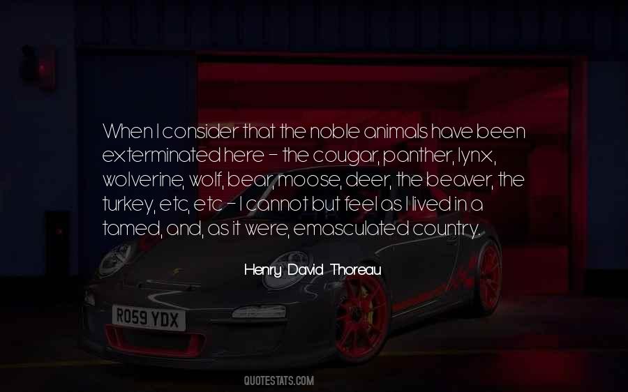Quotes About Wolverine Animal #564636