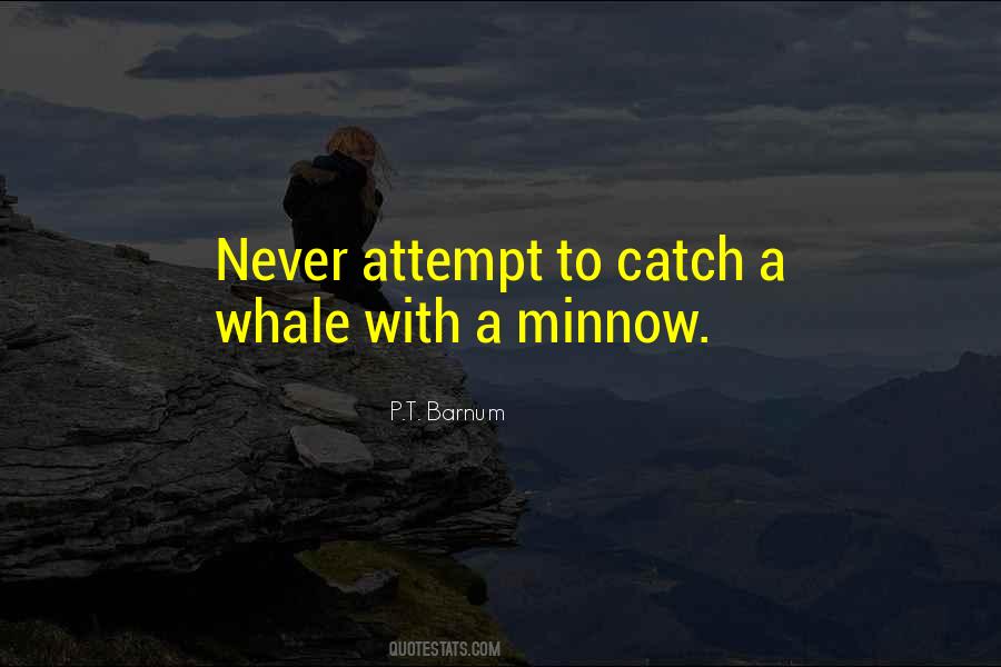 Quotes About Minnows #333179