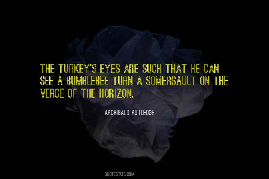 Quotes About Hunting Turkeys #513557