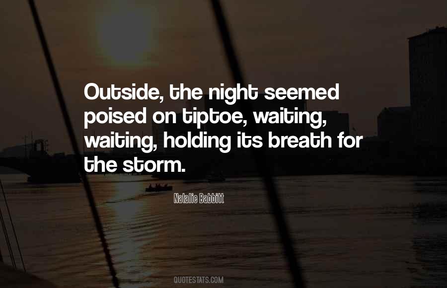 Storm In And Then There Were None Quotes #435