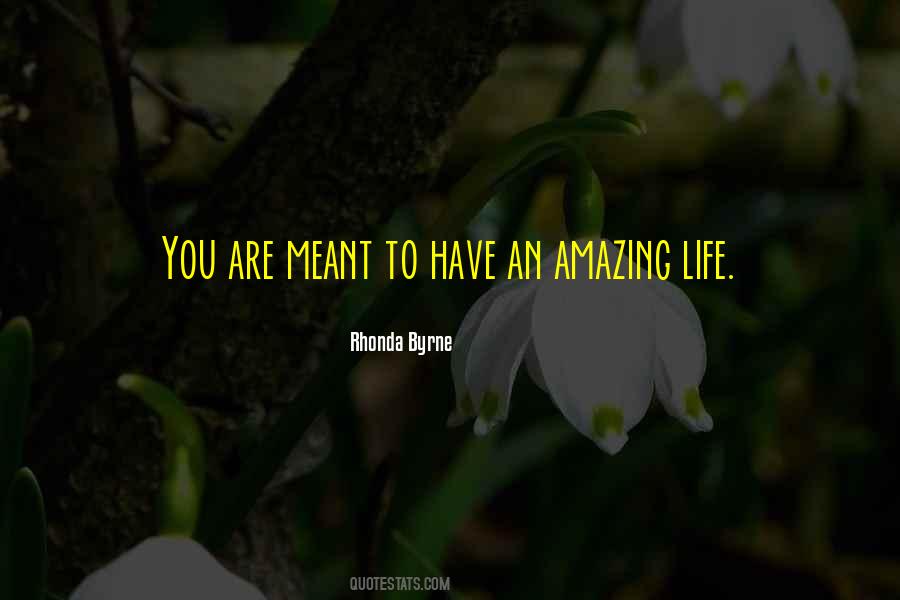 Quotes About Having An Amazing Life #78311