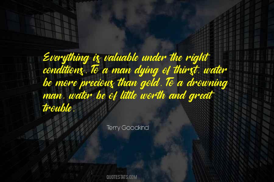 More Precious Than Gold Quotes #1257301