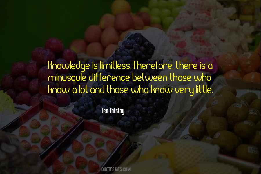 Quotes About A Little Knowledge #473883