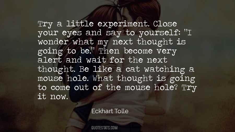 Quotes About 2 Blonde Best Friends #930414