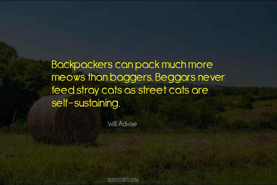 Quotes About Alley Cats #1428724