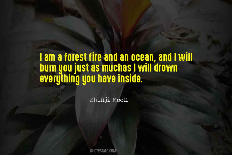 A Forest Fire Quotes #1444980