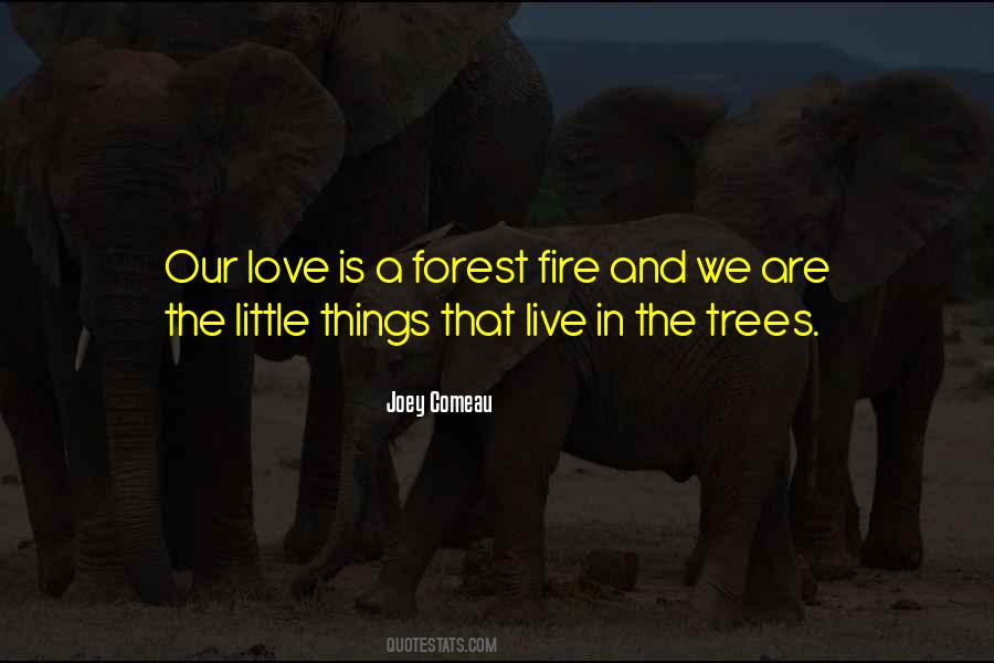 A Forest Fire Quotes #1627476