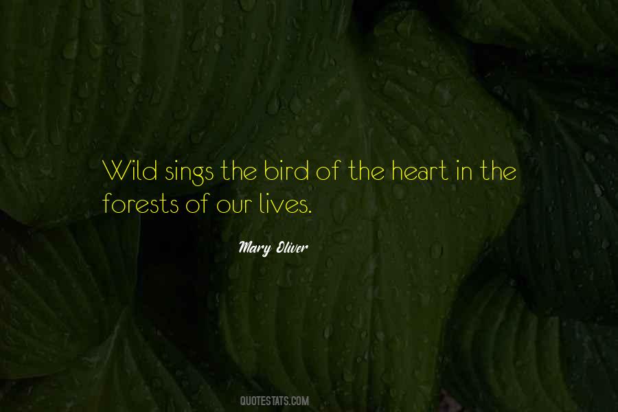 Quotes About Our Forests #107007