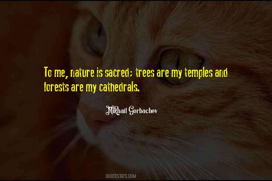 Quotes About Our Forests #11735
