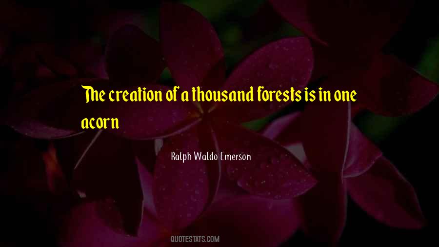 Quotes About Our Forests #17599