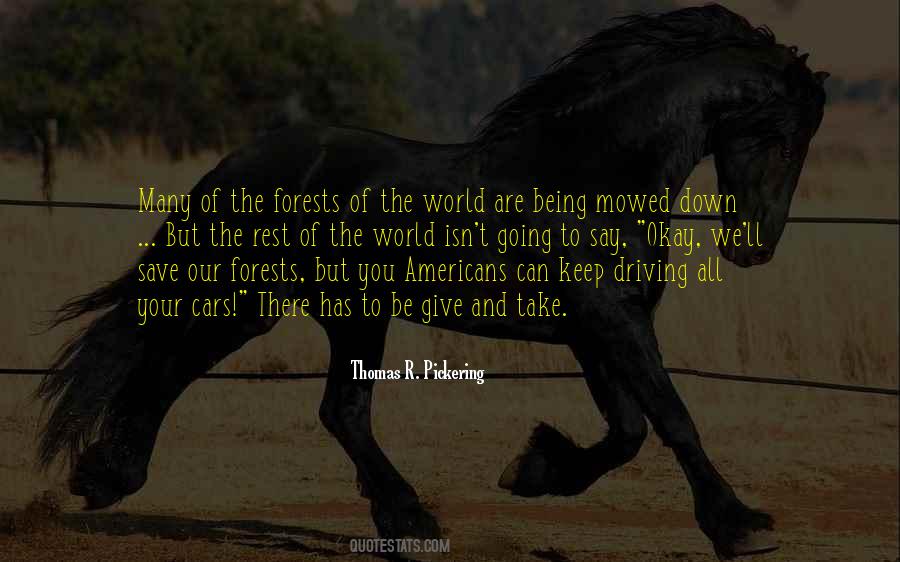 Quotes About Our Forests #981869