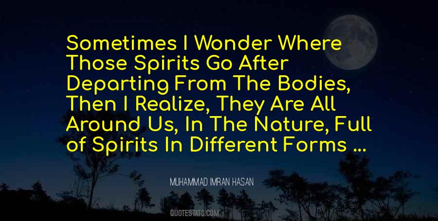 Quotes About The Soul After Death #209326