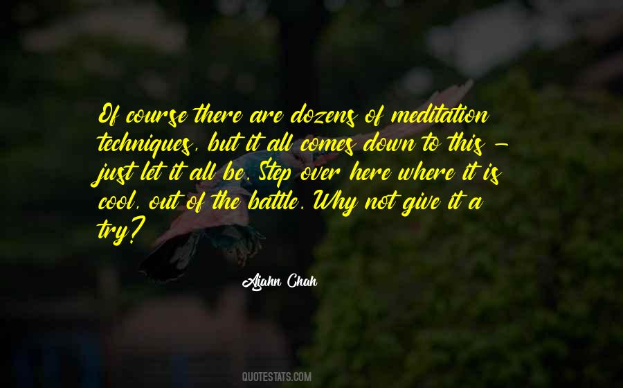 Giving It A Try Quotes #1454322