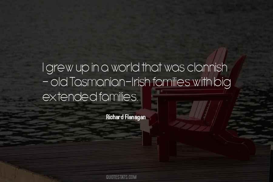 Quotes About Irish Families #1813800