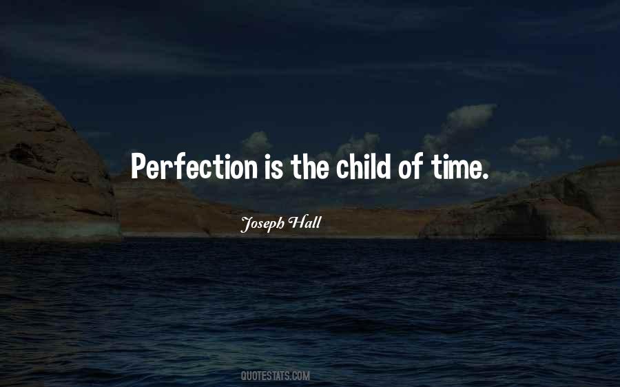 Perfection Is The Quotes #533011