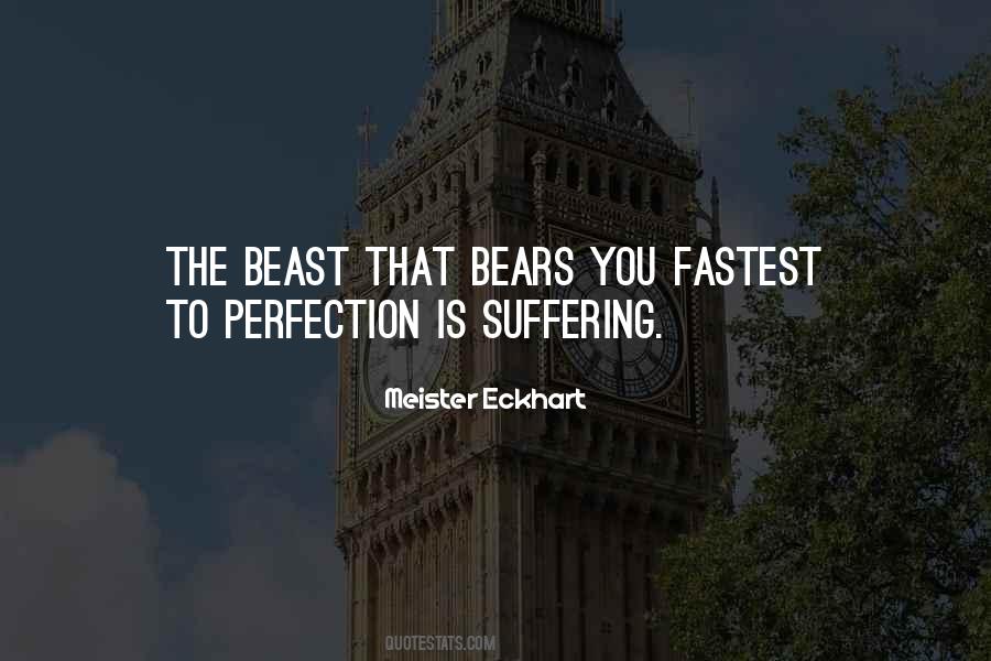 Perfection Is The Quotes #84061