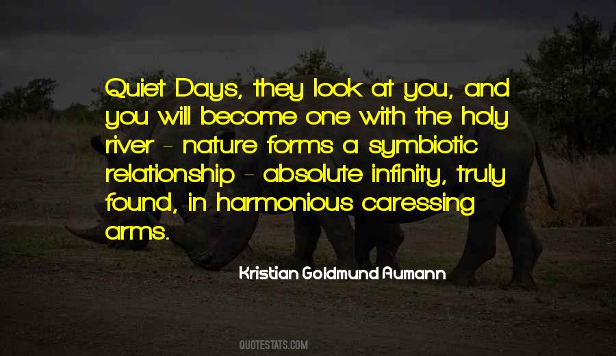 Infinity One Quotes #836368