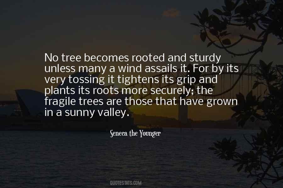 Quotes About Wind And Trees #173557