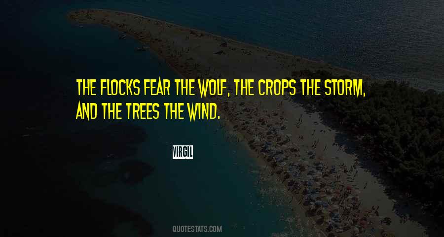 Quotes About Wind And Trees #183626