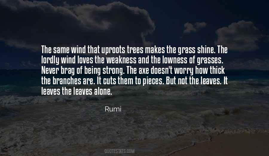 Quotes About Wind And Trees #223985