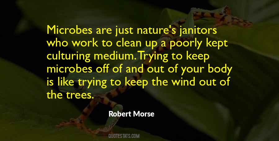 Quotes About Wind And Trees #340330