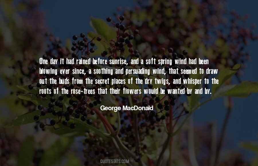 Quotes About Wind And Trees #501997