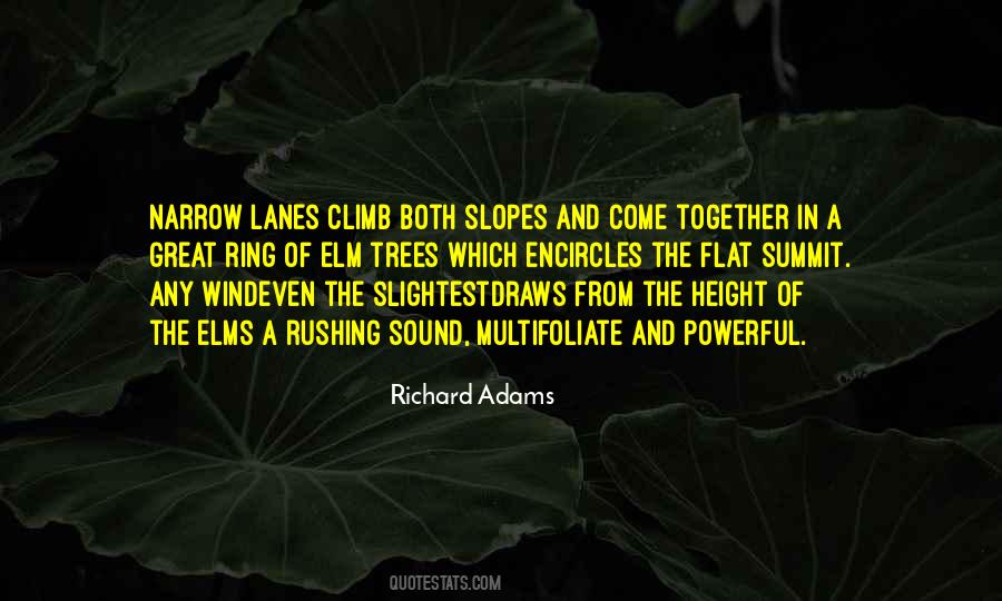 Quotes About Wind And Trees #753624