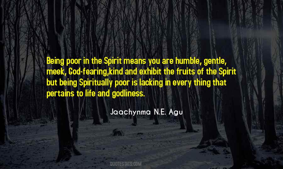 The Gentle Spirit Quotes #808911