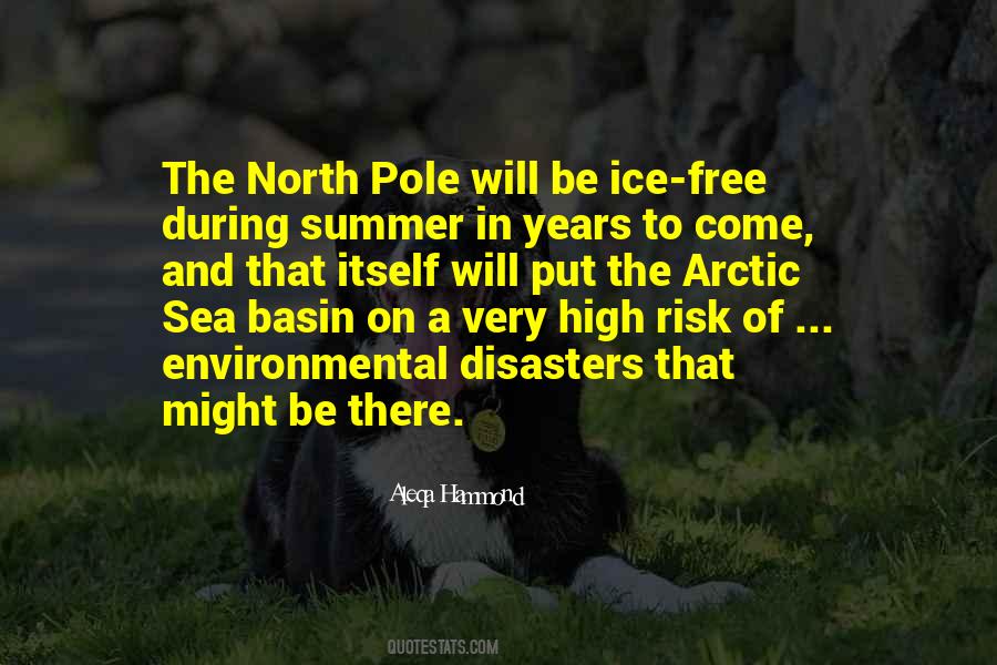 Quotes About The North Pole #964383