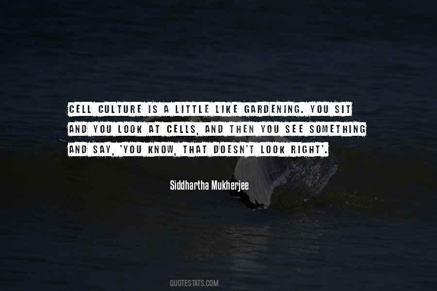 Cell Culture Quotes #378403