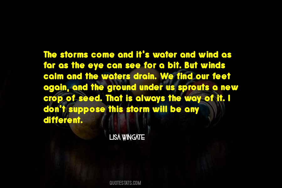 In The Eye Of The Storm Quotes #1066184