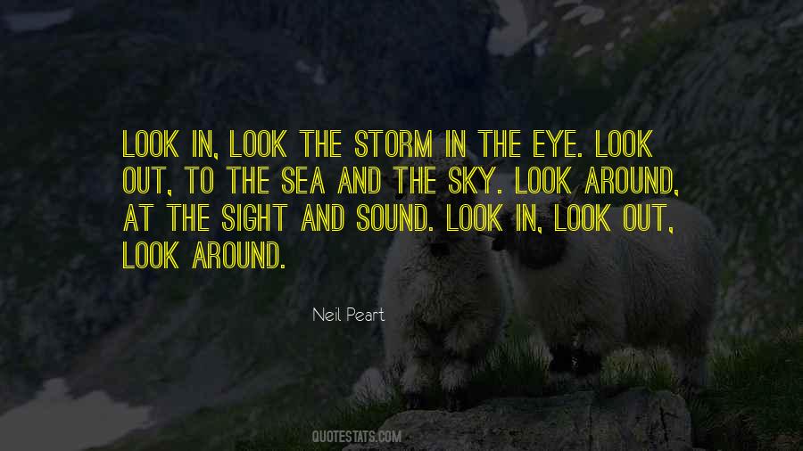 In The Eye Of The Storm Quotes #1416934