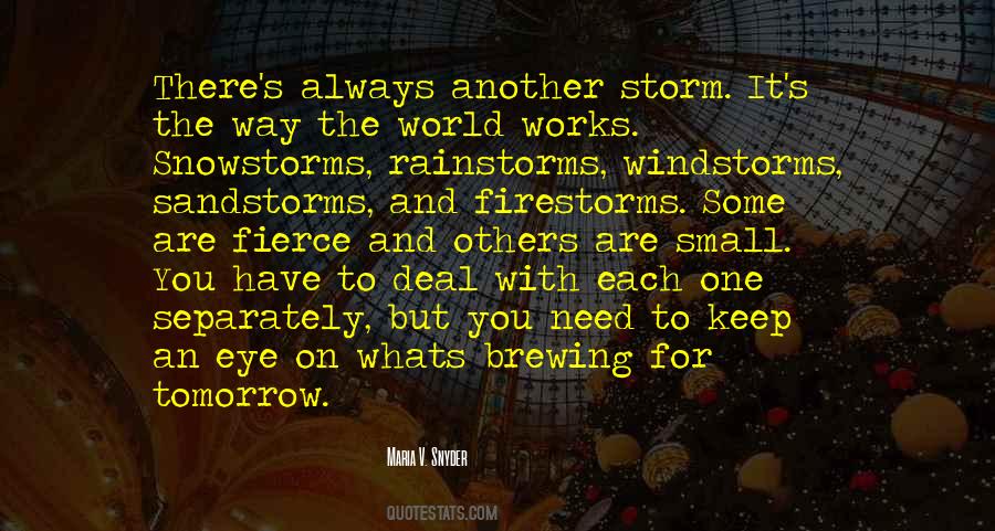 In The Eye Of The Storm Quotes #447930