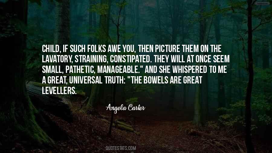 Quotes About Universal Truth #1349428