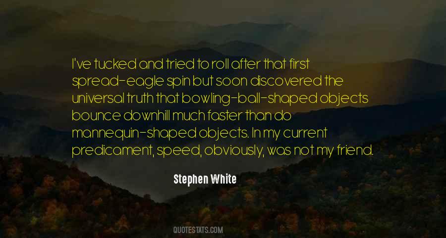 Quotes About Universal Truth #1374475