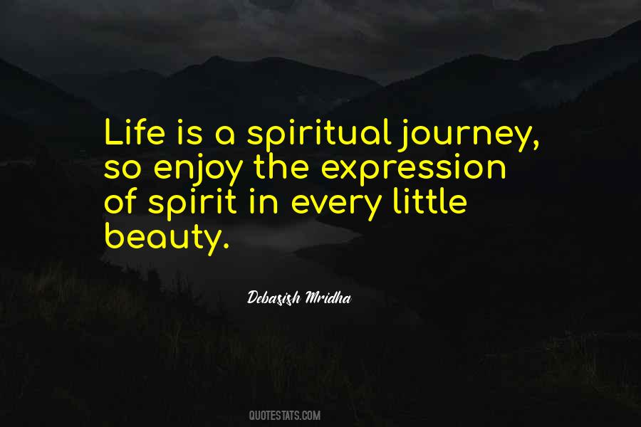 Enjoy The Beauty Of Life Quotes #1253091