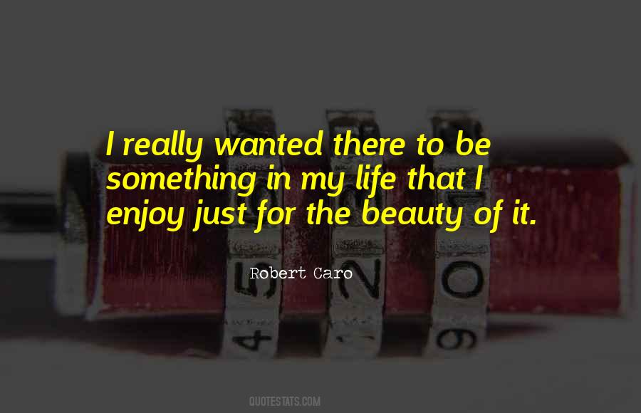 Enjoy The Beauty Of Life Quotes #1601841