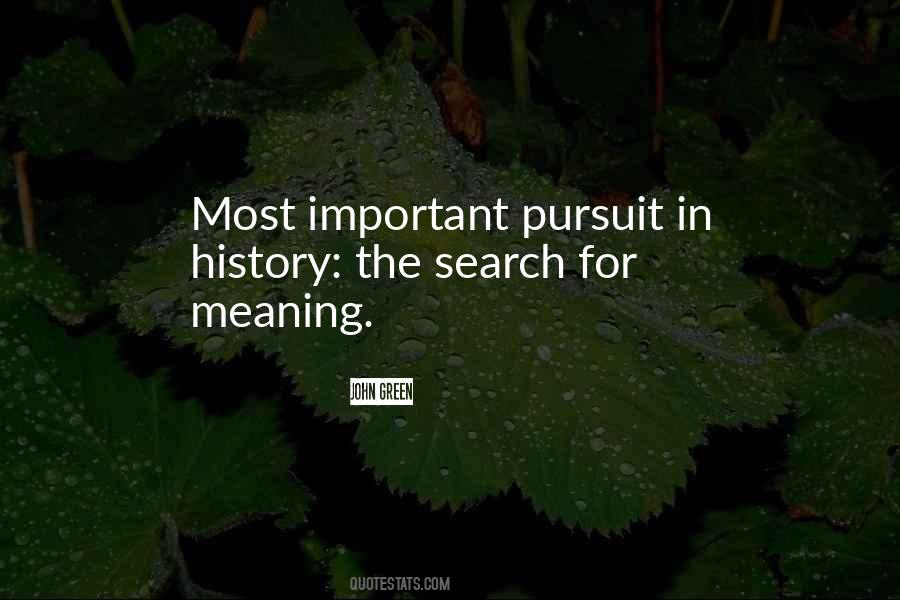 Quotes About The Search For Meaning #1833389