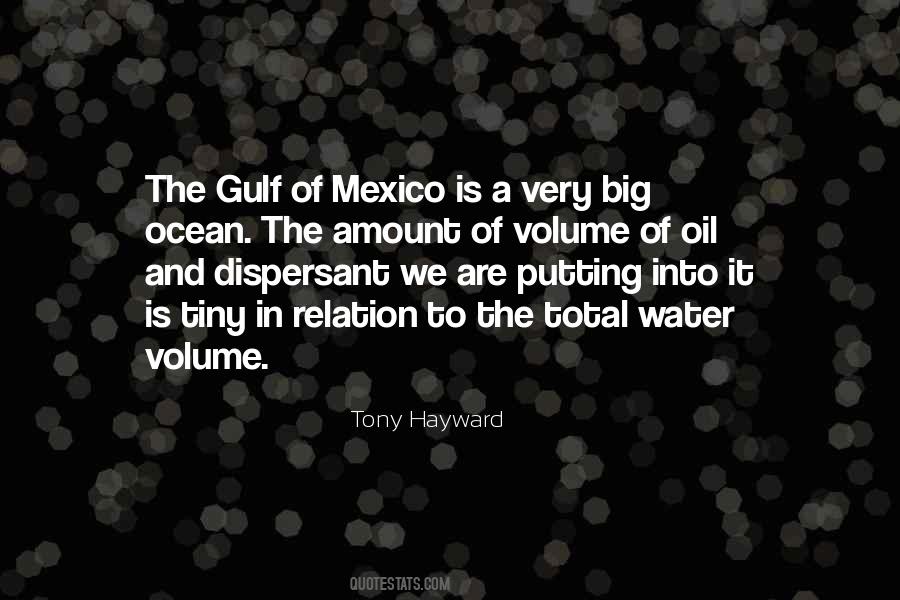 Quotes About Gulf Of Mexico #135122