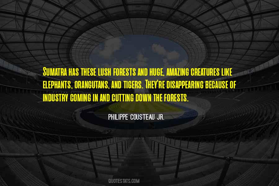 Quotes About Disappearing #1073109