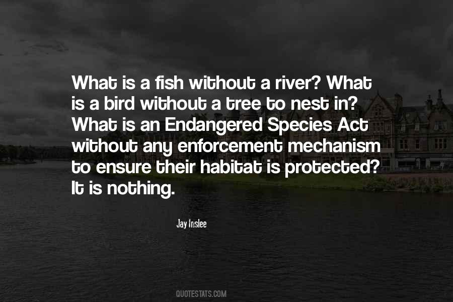 Quotes About A River #1011004