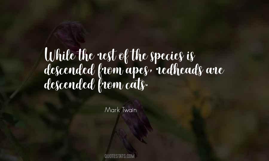 Transform And Transcend Quotes #1611437