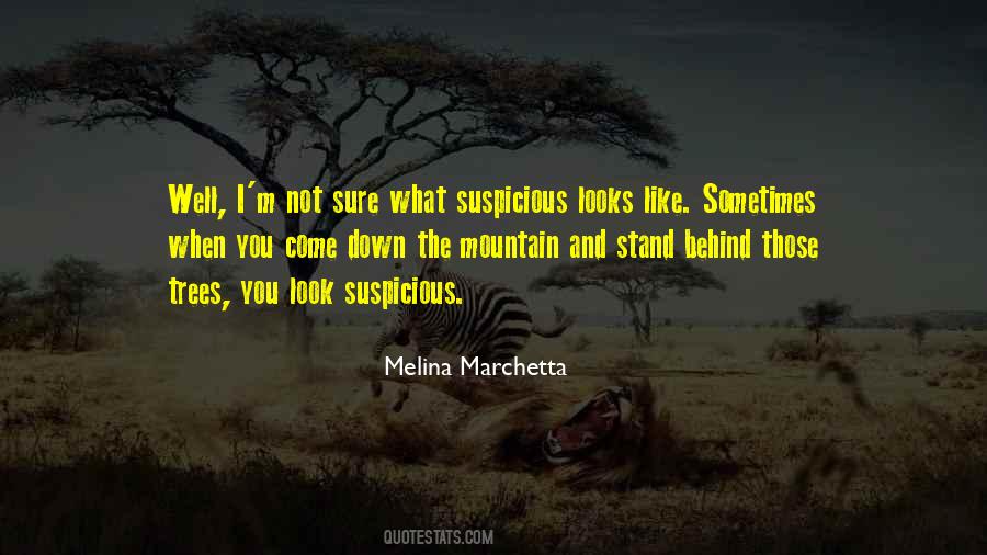 Quotes About Brotherhood And Fraternity #1745726