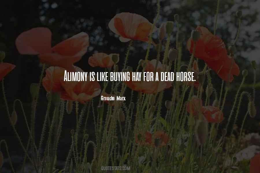 Quotes About Dead Horse #969395